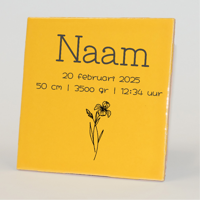 Geboortetegel gepersonaliseerd februari geel