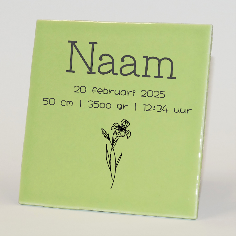 Geboortetegel gepersonaliseerd februari groen