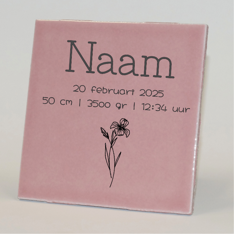 Geboortetegel gepersonaliseerd februari roze