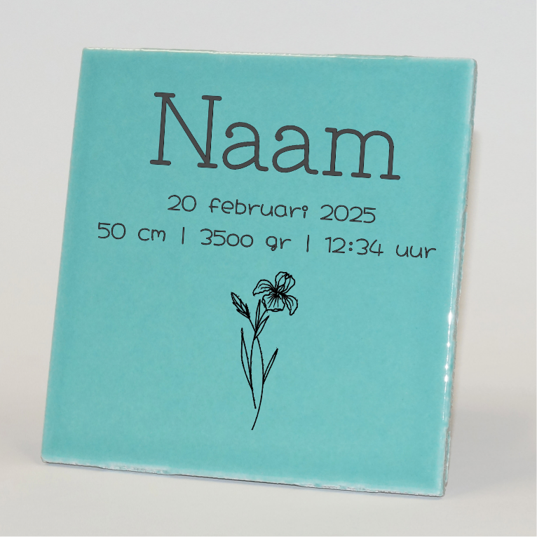 Geboortetegel gepersonaliseerd februari turquoise