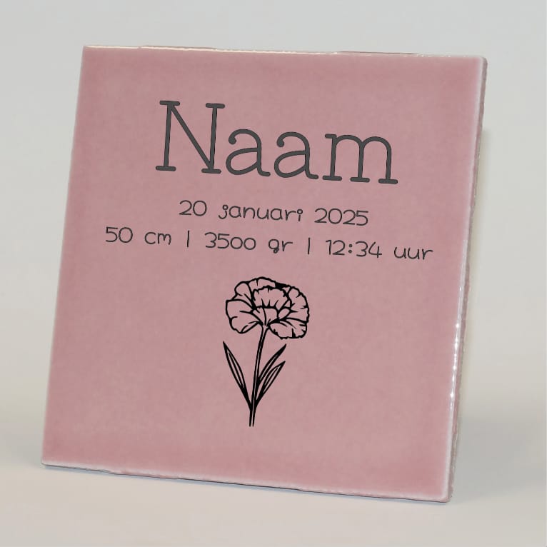 Geboortetegel gepersonaliseerd januari roze